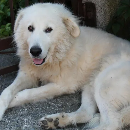 Matilde Alojamento de Acomodação e Pequeno-almoço