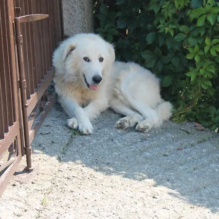 Alojamento de Acomodação e Pequeno-almoço Matilde