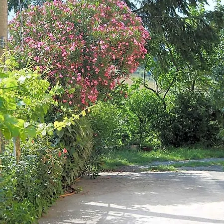 Matilde Морманно