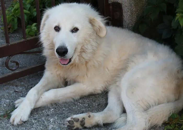 Matilde Alojamento de Acomodação e Pequeno-almoço