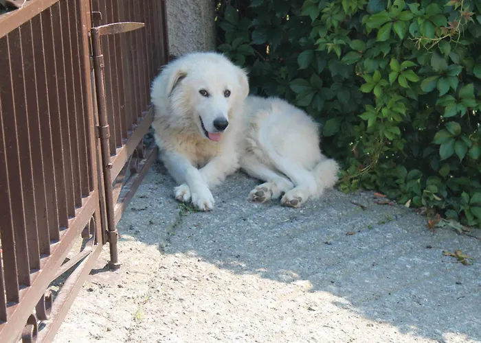 Alojamento de Acomodação e Pequeno-almoço Matilde