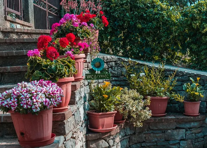 Matilde 3* מורמאנו